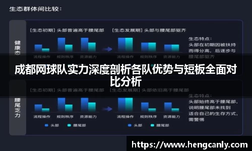 成都网球队实力深度剖析各队优势与短板全面对比分析